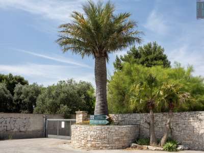 Il giardino � pieno zeppo di piante e alberi inusuali e specie rare, spesso scovate da Ferdinando in giro per il mondo. Come l�imponente �Palma del Cile�, posta proprio davanti al cancello d�entrata
